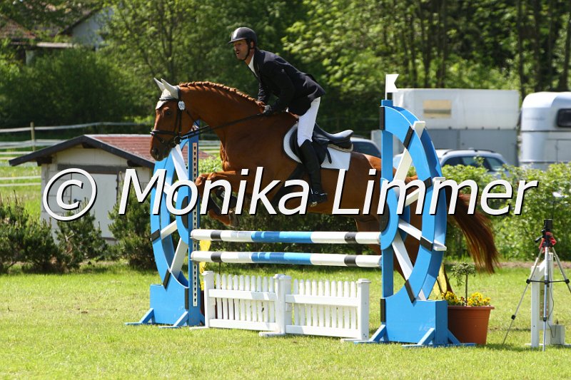 005M4809_Ucello_Stil A.JPG